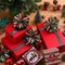 24 Pcs Christmas Tinsel Bows for Gift Wrapping 4 Inch Self Adhesive Christmas Gift Bows Toppers for Xmas Birthday Party Presents Decorations Holiday Gift Accessory(Green, Red)